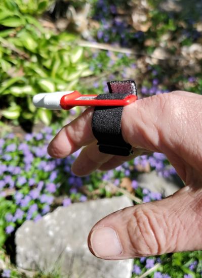 Picture of SI Timing Chip Short Strap - Bulk